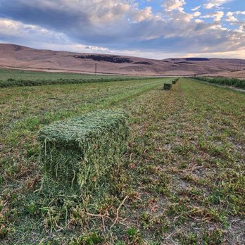 1. KW Farms Hay