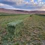 KW Farms Hay