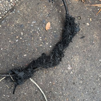 Zip To Zip Plumbing - Roots cut in main sewer line. - Plumbing Near Me - Philadelphia, Pennsylvania Zip To Zip Plumbing - Roots cut in main sewer line. - Plumbing Near Me - Philadelphia, Pennsylvania