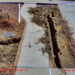 Sonora Sprinkler - front yard