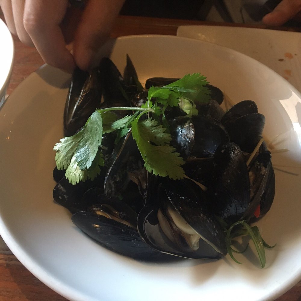 Pearl Diver - Muscles...with a nice creamy curry sauce - Seafood Near Me - Toronto, Ontario Pearl Diver - Muscles...with a nice creamy curry sauce - Seafood Near Me - Toronto, Ontario
