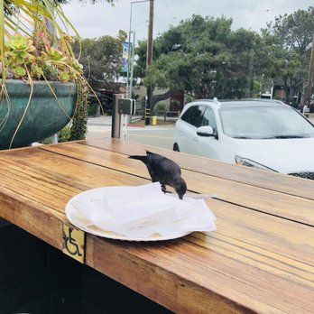 Del Mar Pizza - Pizza Near Me - Del Mar, California