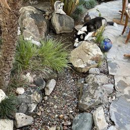 Pondless Waterfall