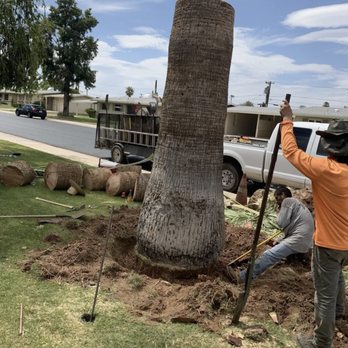 Luis Landscaping - Tree Services Near Me Luis Landscaping - Tree Services Near Me