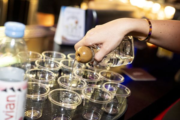 Sapphire Las Vegas Gentlemen's Club by null