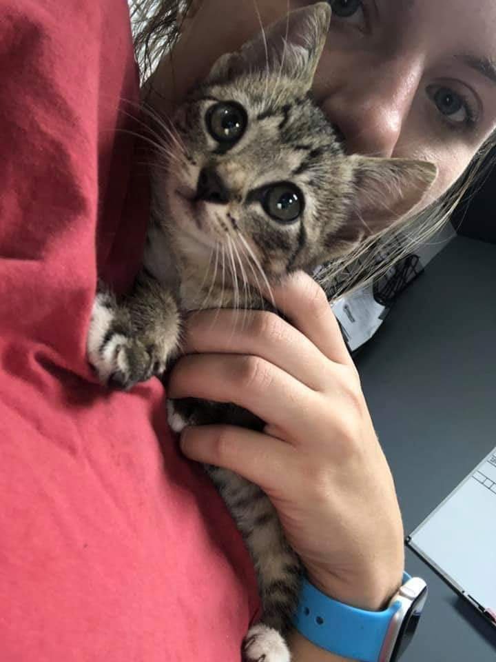 GATEWAY AUTOMOTIVE Updated August 2024 2023 Pepperell Pkwy, Opelika