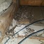 Matar Termite & Pest Control