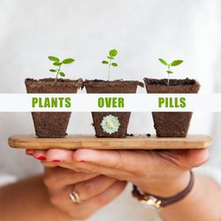 Your CBD Store - Crescent Springs