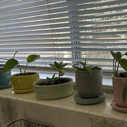 Tiny planters from failed pots Tiny planters from failed pots