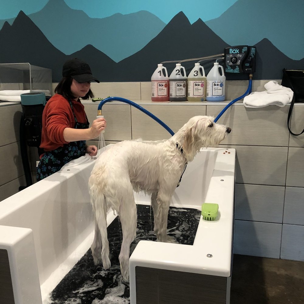 Pet Spawt - DIY dog washing - Pet Stores Near Me - Holladay, Utah Pet Spawt - DIY dog washing - Pet Stores Near Me - Holladay, Utah