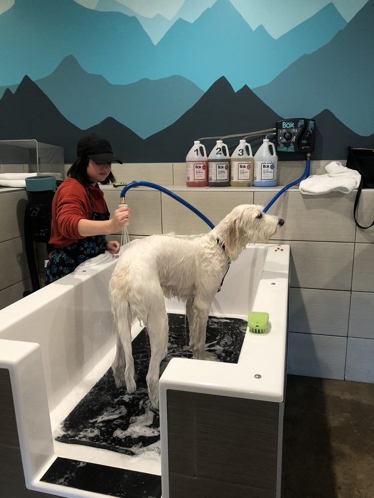 PET SPAWT 30 Photos & 37 Reviews 4898 S Highland Dr, Holladay, Utah