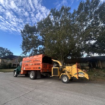 Alfaro's Tree & Dumpster Services - Tree Services Near Me Alfaro's Tree & Dumpster Services - Tree Services Near Me