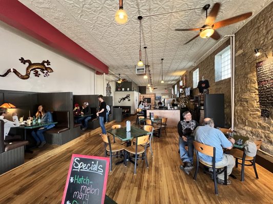 Loungin' Lizard by null