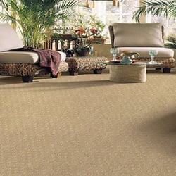 Superior Floor Care Specialist - Superior Floor Care Specialists. Great prices and quality service!