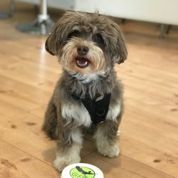 Good Feeling - Auch Tiere können den Good Feeling Lifestyle genießen! Bringt eure Vierbeiner mit!