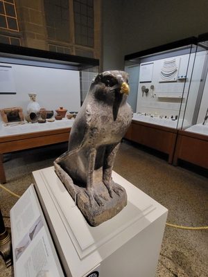 Institute for the Study of Ancient Cultures Museum by null