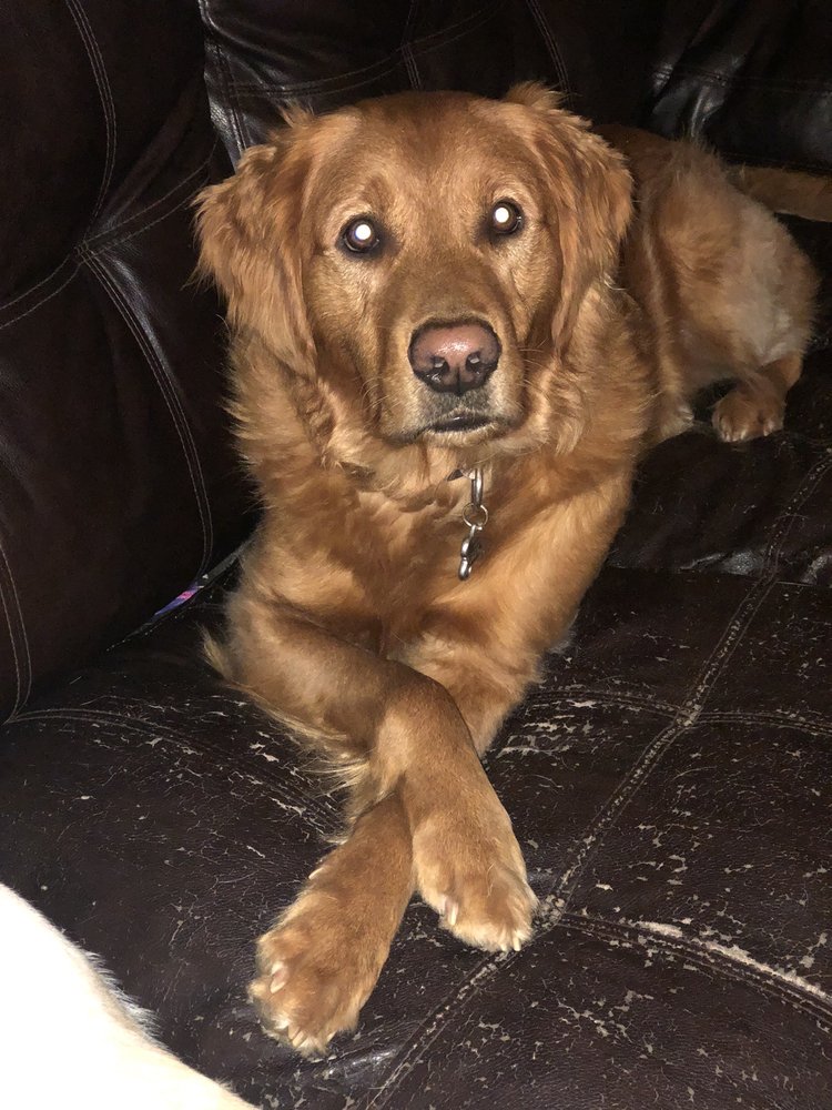 LAKE KATRINE ANIMAL HOSPITAL 1842 Ulster Ave, Lake Katrine, New York