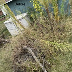 Lozano Landscaping Innovations
