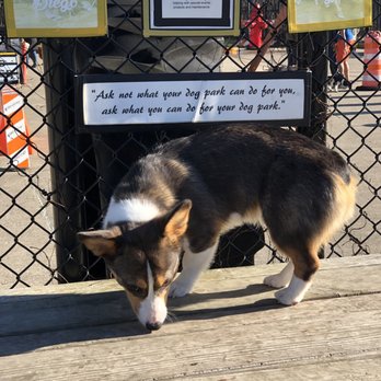 Jackson Bark - Awesome quote about dog parks - Dog Parks Near Me - Chicago, Illinois