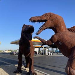 Shell - Those dinosaurs you see at Gila Bend.
