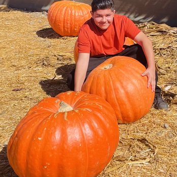 McGrath Brothers Great Pacific Pumpkins - The Silva Kids - Pumpkin Patches Near Me - Ventura, California McGrath Brothers Great Pacific Pumpkins - The Silva Kids - Pumpkin Patches Near Me - Ventura, California