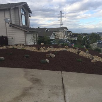 Indra Designs - Initial install October 2016 - Landscaping Near Me - Richmond, California Indra Designs - Initial install October 2016 - Landscaping Near Me - Richmond, California