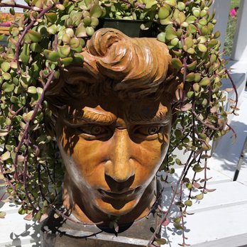 The Flower Fields - Venues & Event Spaces Near Me - Carlsbad, California