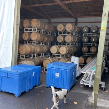 Chehalem Winery - Barrels - Some Empty and some full - Wineries Near Me - Newberg, Oregon