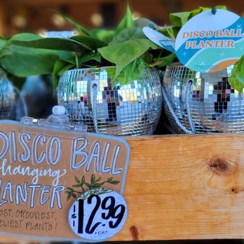 Trader Joe's - Grocery Near Me - Thousand Oaks, California Trader Joe's - Grocery Near Me - Thousand Oaks, California