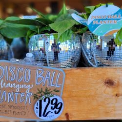 Trader Joe's