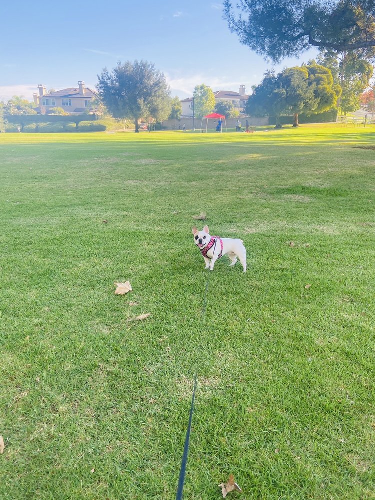 BREA SPORTS PARK 64 Photos & 36 Reviews 3333 E Birch St, Brea