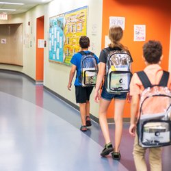 The Sonia Shankman Orthogenic School