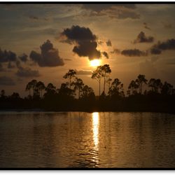 Capt Majik's Chartered Pontoon Tours