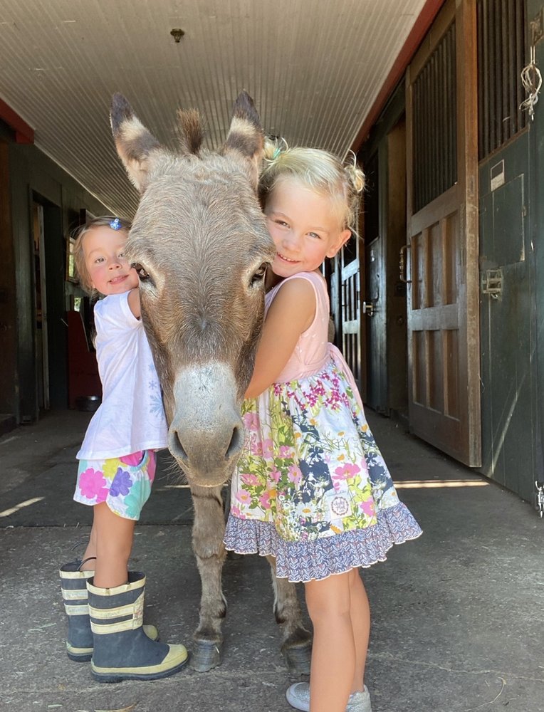 Natchez Bend Performance Centre - equestrian in Spring Hill, TN