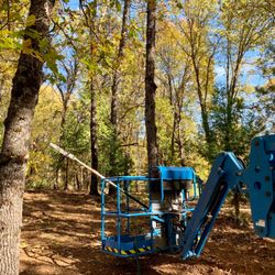 C Lee Tree Service