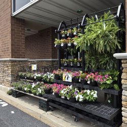 Giant Food Stores