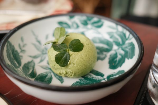 Gucci Osteria da Massimo Bottura by null