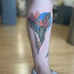 Ink Ink Tattoo - Tropical bird of paradise tattoo in color by Karina