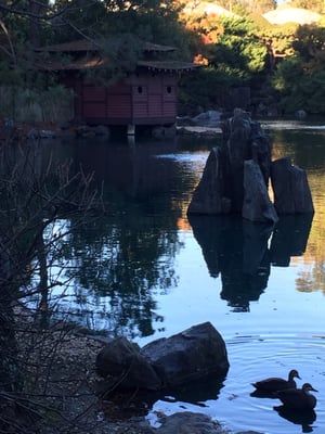 Auburn Botanic Gardens by null
