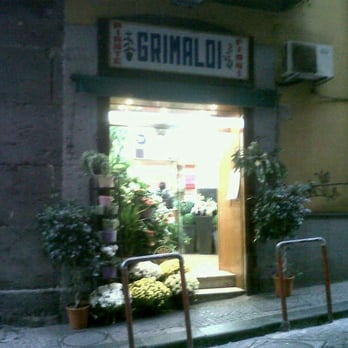 1. Piante e Fiori di Ciro Grimaldi