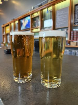 Jellyfish Brewing Company - Georgetown by null