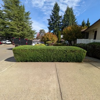 Synergy Landscape - After - Landscaping Near Me - Jefferson, Oregon Synergy Landscape - After - Landscaping Near Me - Jefferson, Oregon