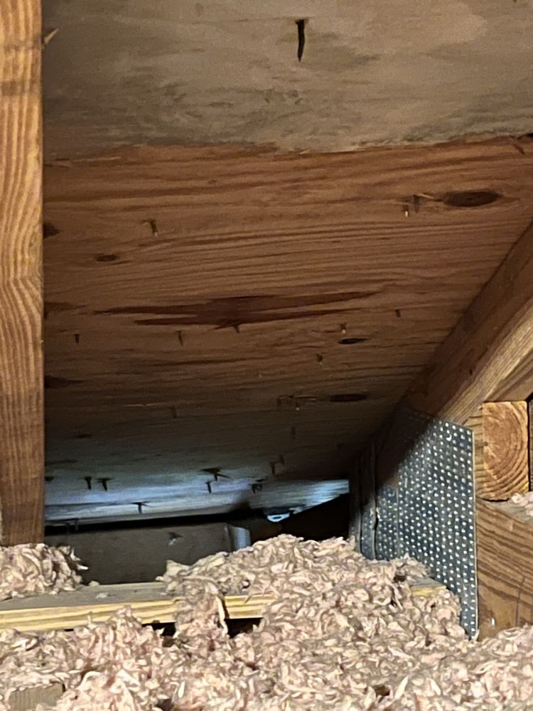 Slide of Roofing Repairs and More