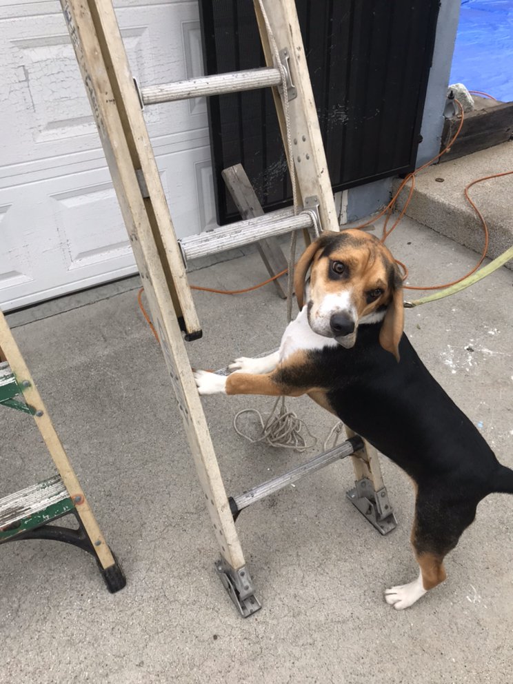 Slide of SoCal Roofing Solutions