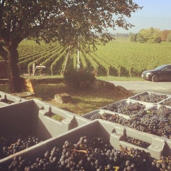 Chateau Mauvinon - Wineries Near Me - Saint-Sulpice-de-Faleyrens, 33 Chateau Mauvinon - Wineries Near Me - Saint-Sulpice-de-Faleyrens, 33