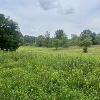 Asylum Lake Preserve - Grass field - Parks Near Me - Kalamazoo, Michigan Asylum Lake Preserve - Grass field - Parks Near Me - Kalamazoo, Michigan
