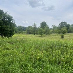 Grass field