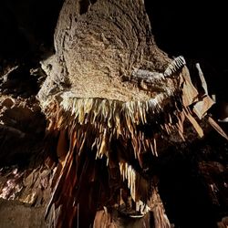 Grand Caverns
