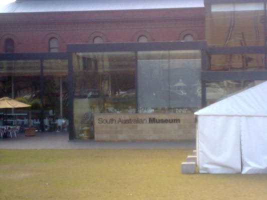 South Australian Museum by null