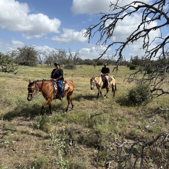 Bit & Bridle Boarding & Training Stables - Horseback Riding Near Me - Harper, Texas